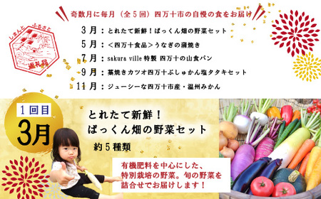 24-613．【年末限定】【5回定期便】四万十の人気グルメお楽しみ定期便 しまんとふるさと定期便5万円Aコース