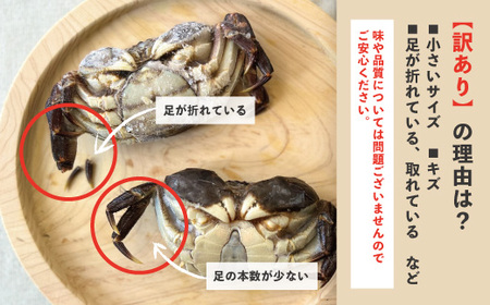 【 訳あり 数量限定 】 天然 ツガニ 約 1kg （8～12匹） 訳アリ 訳あり品 濃厚 うまみ 魚介 蟹 かに カニ つがに モクズガニ もくずがに 人気 リピーター お取り寄せ だし 味噌汁 炊き込みごはん 四万十川 グルメ 高知県 高知 四万十市 四万十 しまんと 24-030W