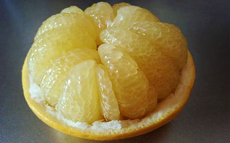 【早期受付・数量限定】熟成の土佐文旦10kg 家庭用 予約 先行 大人気 リピーター フルーツ 果物 旬 文旦 ぶんたん ブンタン 柑橘 オススメ 四万十市 四万十 しまんと 高知 産地直送 農家直送 【2026年2月下旬より発送】R7-552