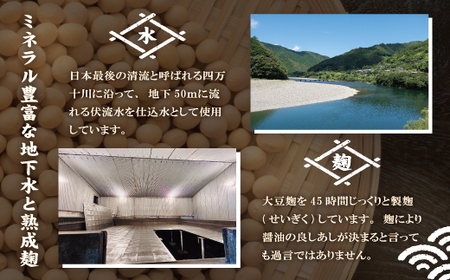 【 お試し 少量タイプ 】 四万十の調味料 5本 セット A 各 100ml 老舗醤油蔵 マルバン醤油 調味料 包装 のし 対応可能 ギフト プレゼント 贈答 たまごかけご飯 醤油 高知県 高知 四万十市 四万十 しまんと お取り寄せ 25-88