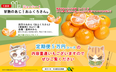 【年末限定】 5回 定期便 四万十 人気 グルメ お楽しみ しまんと ふるさと 定期便 5万円 Aコース 今だけ 限定 野菜 うなぎ 鰻 パン 冷凍パン 魚 魚介 タタキ たたき 鰹 かつお フルーツ みかん 温州 贅沢 高知 四万十市 R7-613