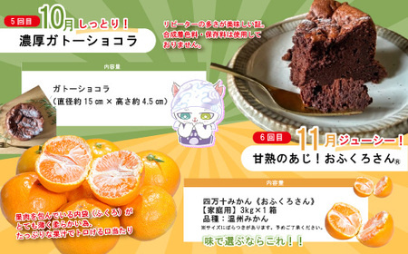 【年末限定】 7回 定期便 四万十 人気 グルメ お楽しみ しまんと ふるさと 定期便 5万円 Ｂコース 今だけ 限定 野菜 ガトーショコラ 生食パン あん食パン 魚 タタキ 鰹 かつお 肉 骨付き 豚肉 フルーツ みかん 高知 四万十市 R7-615