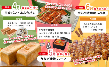 【 年末限定 】 8回 定期便 四万十 人気グルメ お楽しみ定期便 しまんと ふるさと定期便 10万円 Aコース 今だけ 鰻 牛肉 鶏肉 豚肉 パン 魚 タタキ 鰹 カツオ みかん 柑橘 フルーツ ケーキ ごちそう 贅沢 豪華 高知 四万十市 R7-614