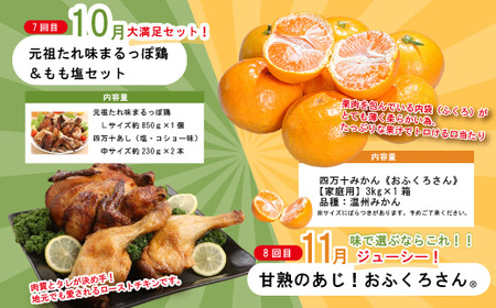 【 年末限定 】 8回 定期便 四万十 人気グルメ お楽しみ定期便 しまんと ふるさと定期便 10万円 Aコース 今だけ 鰻 牛肉 鶏肉 豚肉 パン 魚 タタキ 鰹 カツオ みかん 柑橘 フルーツ ケーキ ごちそう 贅沢 豪華 高知 四万十市 R7-614