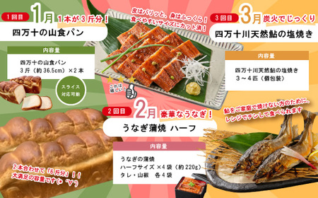 【 年末限定 】 8回 定期便 四万十 人気グルメ お楽しみ定期便 しまんと ふるさと定期便 10万円 Bコース 今だけ 鰻 牛肉 豚肉 パン 魚 タタキ カツオ うどん 鮎 天然鮎 ケーキ ごちそう 贅沢 豪華 高知 四万十市 R7-815