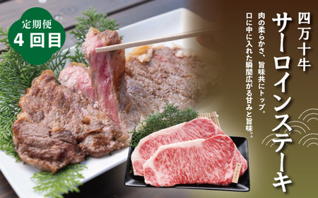 4ヵ月連続 定期便 四万十市 人気 魚介 & お肉 返礼品 第2弾 冷凍 4回 うなぎ 鰻 蒲焼 かつお 鰹 たたき 黒毛和牛 牛肉 肉 サーロイン ステーキ 特選 贅沢 グルメ ごちそう 高知 四万十 しまんと 鶏肉 チキン R7-846