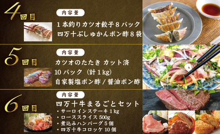 【12回定期便】四万十 の 贅沢 を詰め込んだ プレミアム 定期便 四万十市 高知 しまんと 鰹 かつお うなぎ 鰻 牛肉 和牛 小分け 四万十牛 じゃこ しらす 魚介 肉 鶏肉 鮎 天然鮎 豪華 2025-590