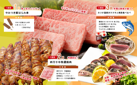 【年末限定】 12回 定期便 四万十 人気 グルメ お楽しみ定期便 しまんと ふるさと 20万円 今だけ 年末 限定 肉 うなぎ 牛肉 パン まぐろ マグロ かつお 人気グルメ ごちそう 贅沢 豪華 高知 四万十市 2025-616