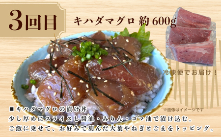 【3回定期便】ご飯にのせて！贅沢 どんぶり 定期便 3回 毎月届く 鰹 かつお カツオのたたき 鰻 ウナギ マグロ キハダマグロ 海鮮丼 ひつまぶし 鰻めし マグロ丼 漬け丼 魚介 高知県 四万十市 四万十 しまんと お取り寄せ 25-0022