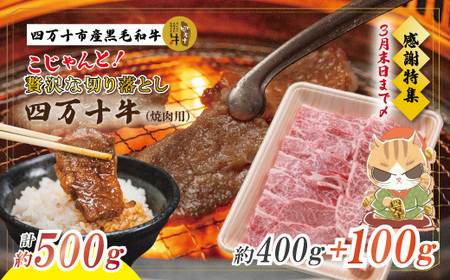 【感謝・期間限定100g付き】＜100個限定＞ 牧場直送 四万十牛 メス牛 こじゃんと 贅沢 な 切り落とし（焼肉用）約500g（400g＋100g）高知 しまんと 四万十 牛 肉 牛肉 和牛 牛モモ【2026年3月31日まで受付】26-530Z