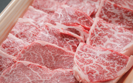 【感謝・期間限定100g付き】＜100個限定＞ 牧場直送 四万十牛 メス牛 こじゃんと 贅沢 な 切り落とし（焼肉用）約500g（400g＋100g）高知 しまんと 四万十 牛 肉 牛肉 和牛 牛モモ【2026年3月31日まで受付】26-530Z