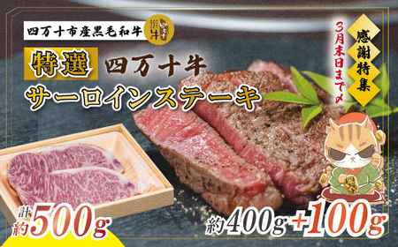 【感謝・期間限定100g付き】 ＜100個限定＞ 牧場直送 四万十牛（メス牛）特選 サーロインステーキ 約500g（400g＋100g） 高知 しまんと 四万十 肉 牛肉 黒毛和牛 四万十市 霜降り 【2026年3月31日までの受付】26-980Z