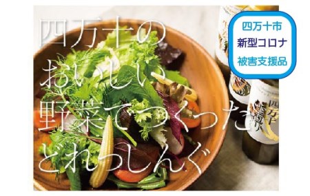 19-100C.【新型コロナ被害支援品】四万十どれっしんぐ5本入り