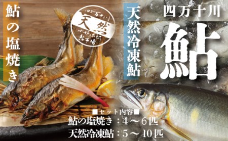 21-840.四万十川の恵みをご家庭で!四万十川天然鮎セット(塩焼き4~6匹+天然冷凍鮎5~10匹)