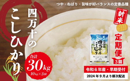 R6-150．【令和6年産新米・早期受付・3回定期便】四万十のこしひかり10kg×3回（合計30kg）【2024年9月より順次配送】 | 高知県四万十市  | ふるさと納税サイト「ふるなび」