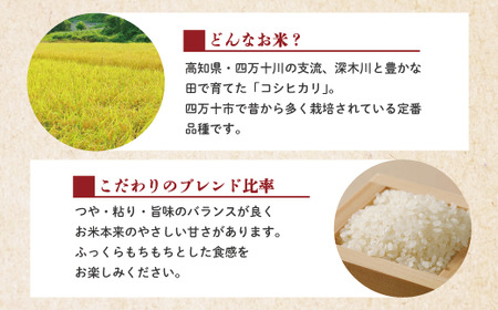 R6-150．【令和6年産新米・早期受付・3回定期便】四万十のこしひかり10kg×3回（合計30kg）【2024年9月より順次配送】