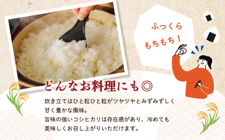 R6-150．【令和6年産新米・早期受付・3回定期便】四万十のこしひかり10kg×3回（合計30kg）【2024年9月より順次配送】