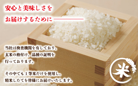 R6-150．【令和6年産新米・早期受付・3回定期便】四万十のこしひかり10kg×3回（合計30kg）【2024年9月より順次配送】