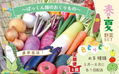 【 早期受付 4回 定期便 】 春・夏 野菜セット 約5種類 とれたて 新鮮 ぱっくん畑のおくりもの 農家直送 国産 野菜 やさい 高知県 高知 四万十市 四万十 しまんと 野菜便 限定 産地直送 【2026年5月～8月まで毎月1回発送】25-057