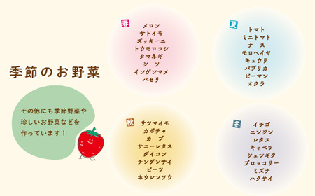 【 早期受付 4回 定期便 】 春・夏 野菜セット 約5種類 とれたて 新鮮 ぱっくん畑のおくりもの 農家直送 国産 野菜 やさい 高知県 高知 四万十市 四万十 しまんと 野菜便 限定 産地直送 【2026年5月～8月まで毎月1回発送】25-057