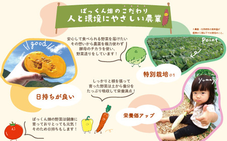 【 早期受付 4回 定期便 】 春・夏 野菜セット 約5種類 とれたて 新鮮 ぱっくん畑のおくりもの 農家直送 国産 野菜 やさい 高知県 高知 四万十市 四万十 しまんと 野菜便 限定 産地直送 【2026年5月～8月まで毎月1回発送】25-057