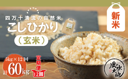 ☆令和2年度収穫コシヒカリ定番のお米！白米27kgの出品です。