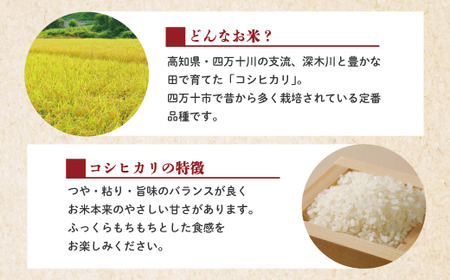 R6-156．【令和6年産新米・早期受付】四万十のかおり5 kg＆四万十のこしひかり5 kgの食べ比べセット（合計10 kg）【2024年10月より順次配送】