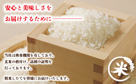 R6-156．【令和6年産新米・早期受付】四万十のかおり5 kg＆四万十のこしひかり5 kgの食べ比べセット（合計10 kg）【2024年10月より順次配送】