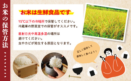 R6-156．【令和6年産新米・早期受付】四万十のかおり5 kg＆四万十のこしひかり5 kgの食べ比べセット（合計10 kg）【2024年10月より順次配送】