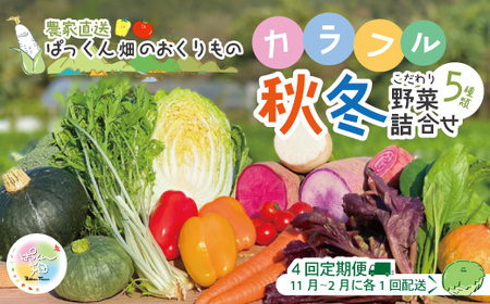 【 早期受付 4回定期便 】 とれたて 新鮮 ぱっくん畑のおくりもの 農家直送 秋・冬 野菜セット 約5種類 国産 野菜 やさい 予約 高知県 高知 しまんと 四万十市 限定 お取り寄せ 【2026年11月～2027年2月まで毎月1回配送】26-055