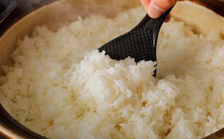 【令和7年産】四万十産 四万十米 コシヒカリ 10kg（5kg×2袋） 国産 こしひかり 5kg 令和7年 2025年 精米 白米 米 おこめ こめ コメ ご飯 ごはん 高知 四万十 しまんと 四万十川 R7-945