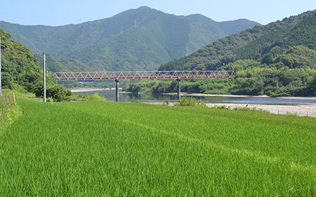 【令和7年産】四万十産 四万十米 コシヒカリ 10kg（5kg×2袋） 国産 こしひかり 5kg 令和7年 2025年 精米 白米 米 おこめ こめ コメ ご飯 ごはん 高知 四万十 しまんと 四万十川 R7-945