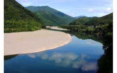 【令和7年産】四万十産 四万十米 コシヒカリ 10kg（5kg×2袋） 国産 こしひかり 5kg 令和7年 2025年 精米 白米 米 おこめ こめ コメ ご飯 ごはん 高知 四万十 しまんと 四万十川 R7-945