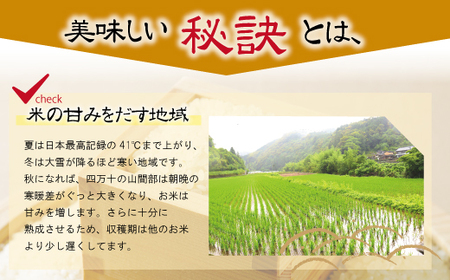 24-859．【令和6年産新米・早期受付・数量限定】四万十川の支流で育った山間米5kg（ヒノヒカリ）【2024年11月より順次発送】