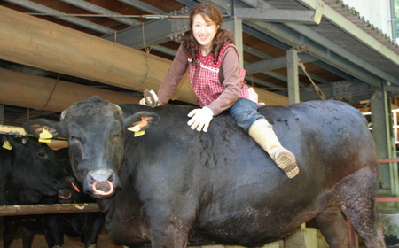 R5-974．幻のメス牛 四万十牛特選ローススライス（すき焼き・しゃぶしゃぶ用）約500ｇ