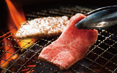 R5-978．幻の四万十牛　焼肉盛り合わせ（黒毛和牛）　約500ｇ