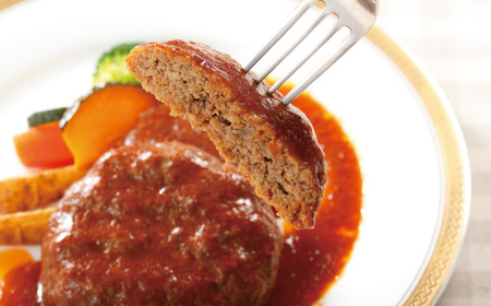 R5-017．四万十牛100%！煮込みハンバーグ・四万十牛コロッケセット （ハンバーグ4個・コロッケ5個 ）