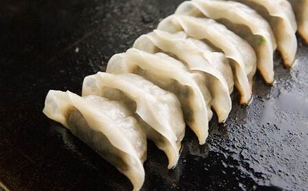 R5-1022.家(うち)に来る“高知” ジューシーな具をぎっしり詰めた手づくり!! 一本釣りカツオ餃子(8ケ入×4パック)・たれ付き にんにく不使用!