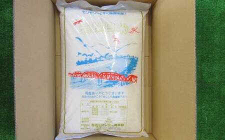 24-950．【令和6年産新米・早期受付】最後の清流「四万十川」のほとりで栽培したお米！四万十市産コシヒカリ5kg【2024年9月上旬より順次発送】