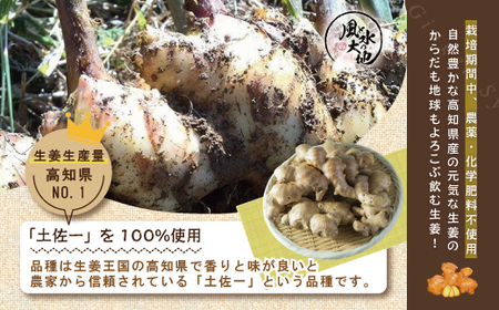 R5-708.ジンジャーシロップ辛口・甘口セット