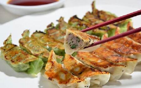 R5-013.家(うち)に来る“高知” ジューシーな具をぎっしり詰めた手づくり!! 四万十ひすい餃子・一本釣りかつお餃子(8ヶ×2パック×2種) タレ付き にんにく不使用!