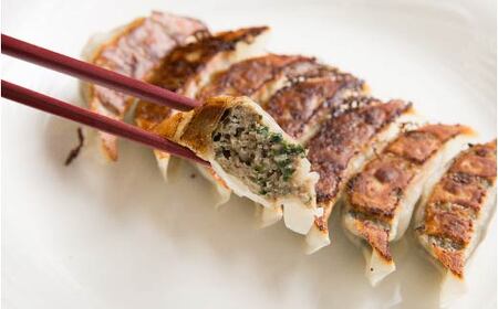 R5-013.家(うち)に来る“高知” ジューシーな具をぎっしり詰めた手づくり!! 四万十ひすい餃子・一本釣りかつお餃子(8ヶ×2パック×2種) タレ付き にんにく不使用!