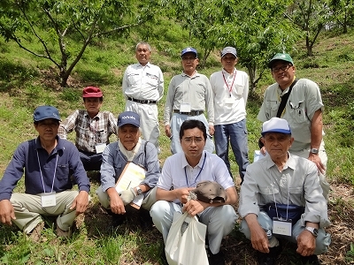 【 期間限定 数量限定 】 新栗 贅沢 四万十栗 2Lサイズ 約1.5kg 生栗 栗 くり マロン 秋 フルーツ 果物 おやつ 焼き栗 栗ご飯 栗きんとん 甘露煮 高知 高知県 四万十 四万十市 しまんと 【2025年10月上旬～発送】25-577