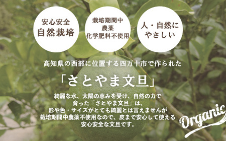 24-505．【早期受付・期間限定・数量限定】しまんと流域　栽培期間中農薬・化学肥料不使用！さとやま文旦5kg（無選別）【2025年2月下旬～3月下旬配送】