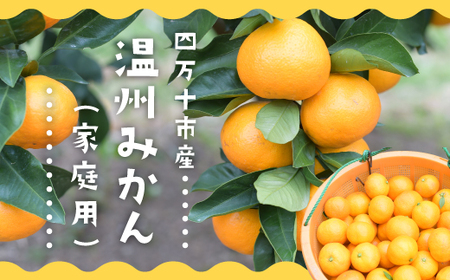 24-709．【3回定期便・早期受付・数量限定】＼人気フルーツを旬の時期にお届け！／成田果樹園のフルーツ定期便Aコース【配送時期：2025年2月・3月・10月】