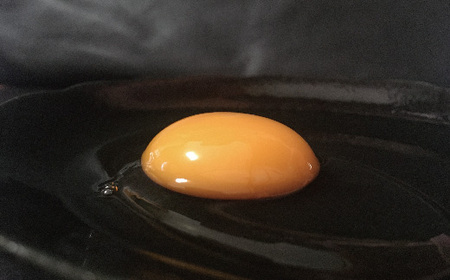 R5-1012．濃厚でコクのある味わい！土佐ジローの自然卵20個と土佐ジロー卵を贅沢に使ったいちえんプリン6個セット