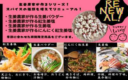 【山﨑生姜農園 】 生姜農家 が作った 生姜スパイス 4本 セット （ 生姜塩・紅生姜塩・にんにく紅生姜塩・生姜パウダー） 粉末 パウダー 調味料 スパイス 塩 生姜 しょうが ショウガ にんにく ニンニク 高知県 高知 四万十市 四万十 しまんと