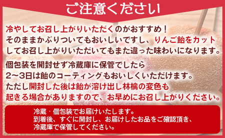 りんご飴 3種類から選べる3本セット 個包装 tuctuc - キャンディーシュガー レモンティーシュガー シナモンシュガー アップル 林檎 あめ フルーツ スイーツ おやつ お菓子 tt-0014