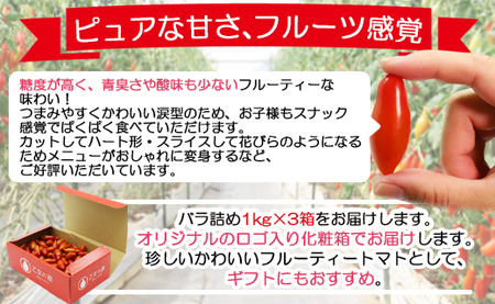 高知県産 ミニトマト 3kg 【トマト 野菜 ミニトマト フルーツトマト 高品質 とまと 高糖度 トマト 野菜 ミニトマト フルーツトマト 高品質 とまと 高糖度】香南市産 is-0011