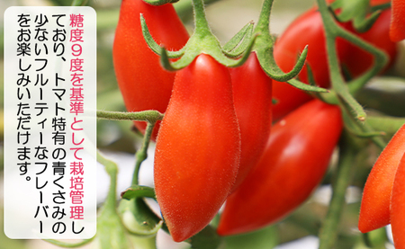 【先行受付】乙女の涙 スウィーティア ミニトマト 2kg トマト is-0017